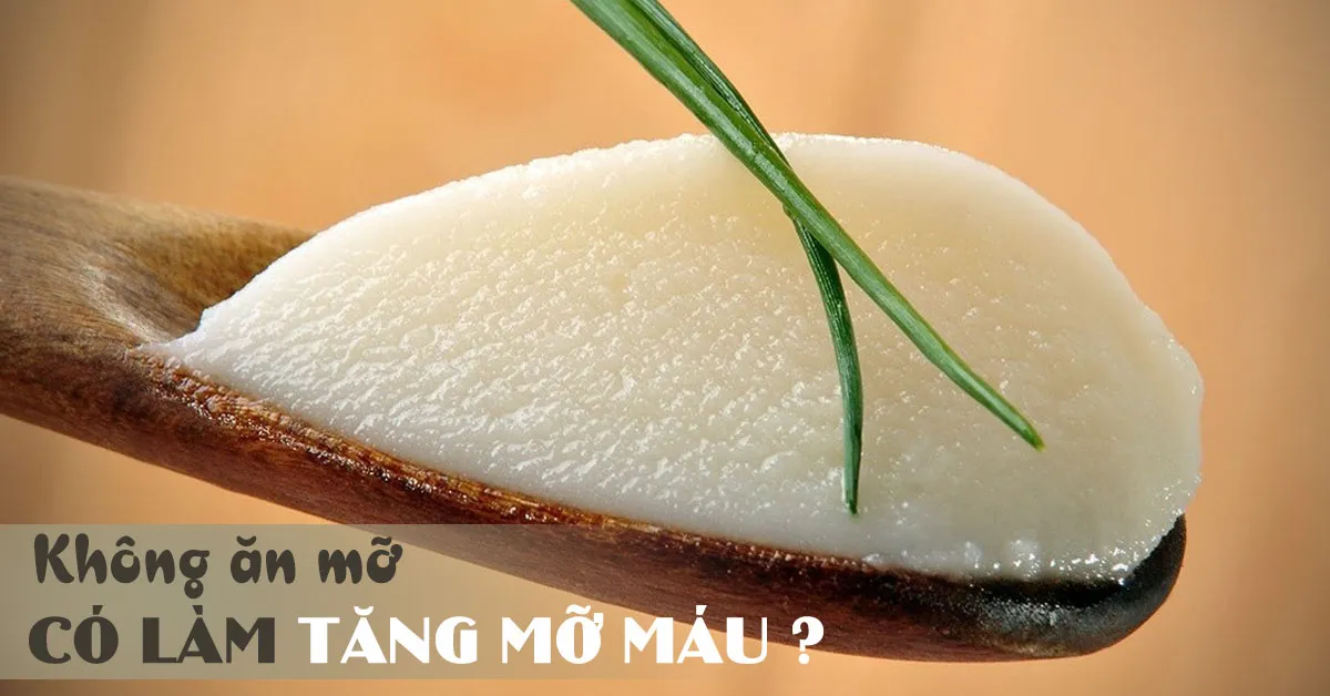Không ăn mỡ sẽ không tăng mỡ máu - đúng hay sai?