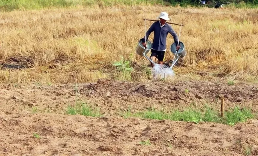 Dự báo thời tiết 10 ngày tới (22/3 - 1/4): Nam Bộ nắng nóng, nguy cơ khô hạn, thiếu nước