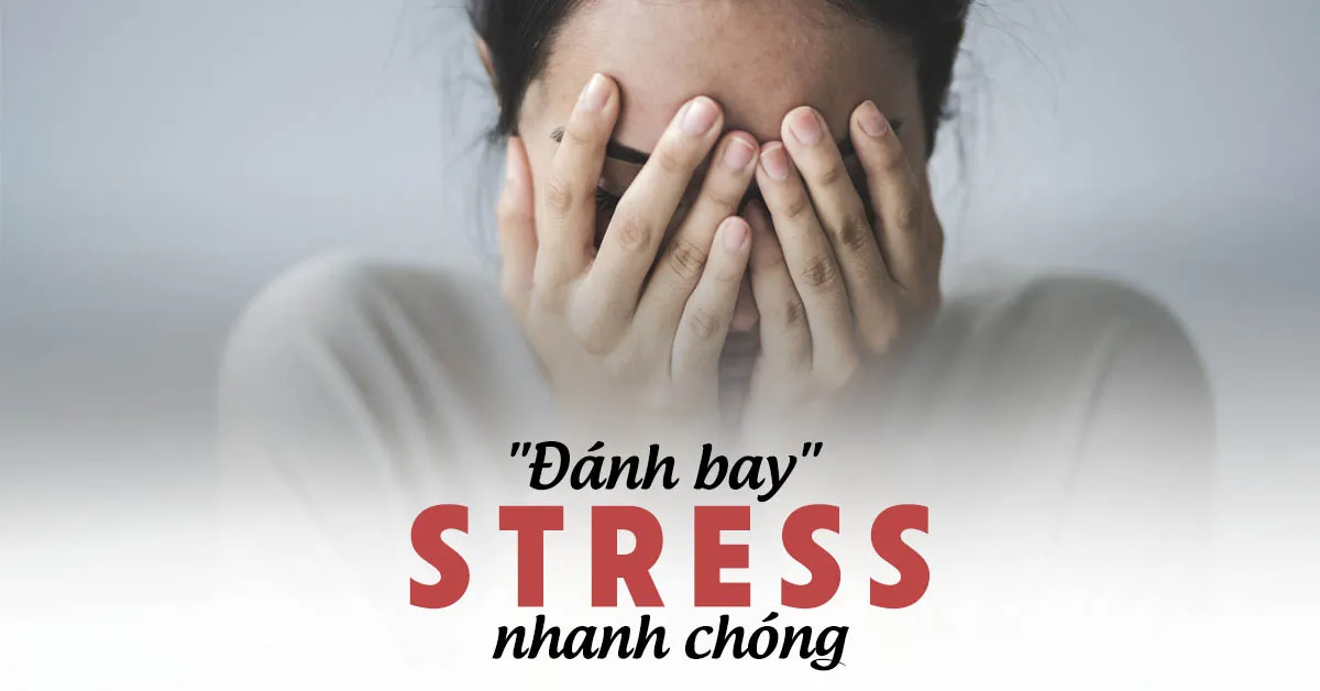 Những lời khuyên giúp giải tỏa stress nhanh, đơn giản