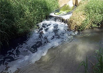 Phạt nặng hành vi xả khí thải độc hại trực tiếp vào nguồn nước