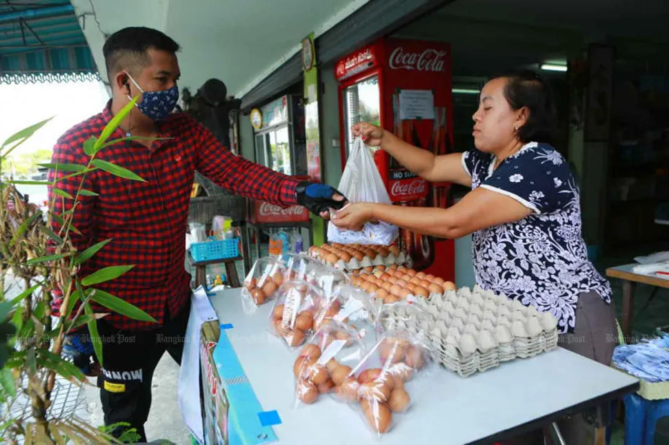 Thái Lan tạm ngưng xuất khẩu trứng gà