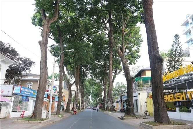 Nói một đằng hiểu một nẻo