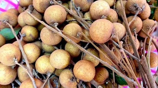  Giá cả thị trường hôm nay 4/4/2020: Nhãn Bắc 50 ngàn đồng một kg