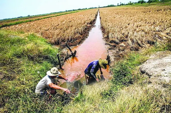 Hỗ trợ 530 tỷ đồng cho 8 tỉnh ĐBSCL phòng, chống hạn hán, xâm nhập mặn