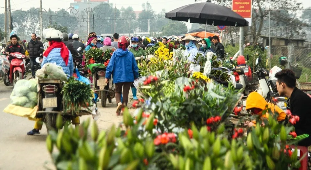 Thông báo khẩn: Những người liên quan đến Chợ hoa Mê Linh cần liên hệ cơ sở y tế