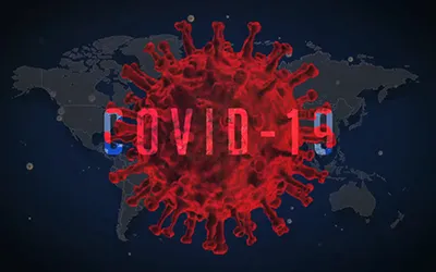 Phòng chống dịch Covid-19: Không tiêu thụ động vật hoang dã để bảo vệ sức khỏe của mình và cộng đồng