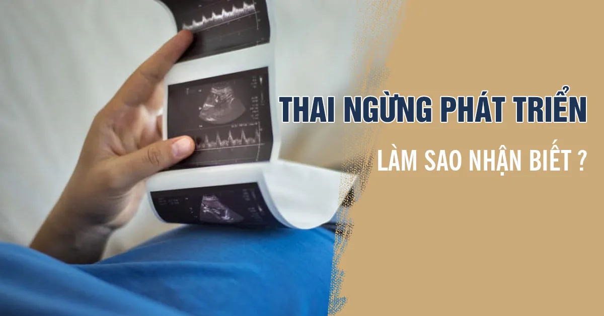Nguyên nhân khiến thai ngừng phát triển và 3 dấu hiệu nhận biết cơ bản
