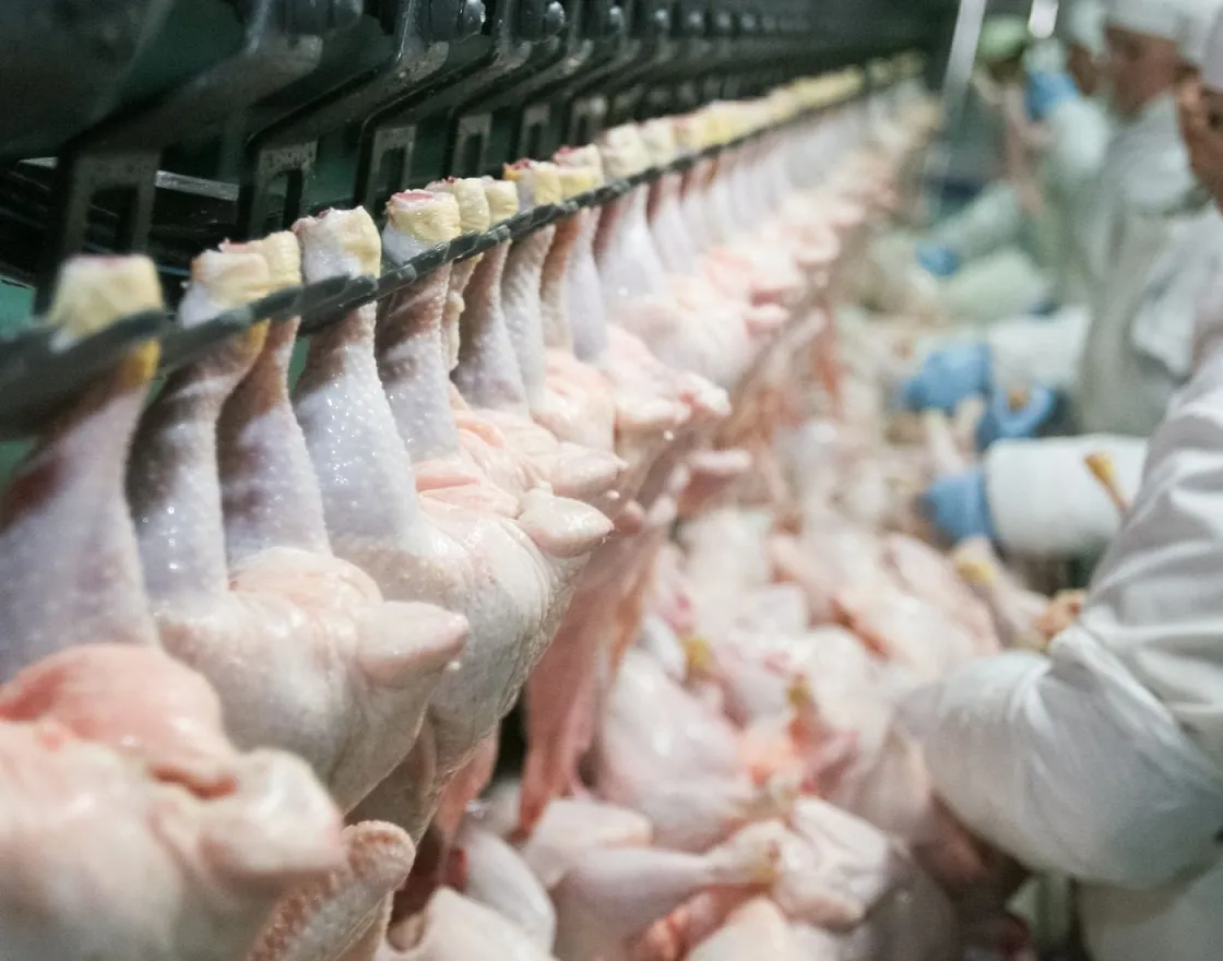 Mỹ: Các nhà máy chế biến thịt tiếp tục hoạt động dù nhân viên bị nghi nhiễm COVID-19