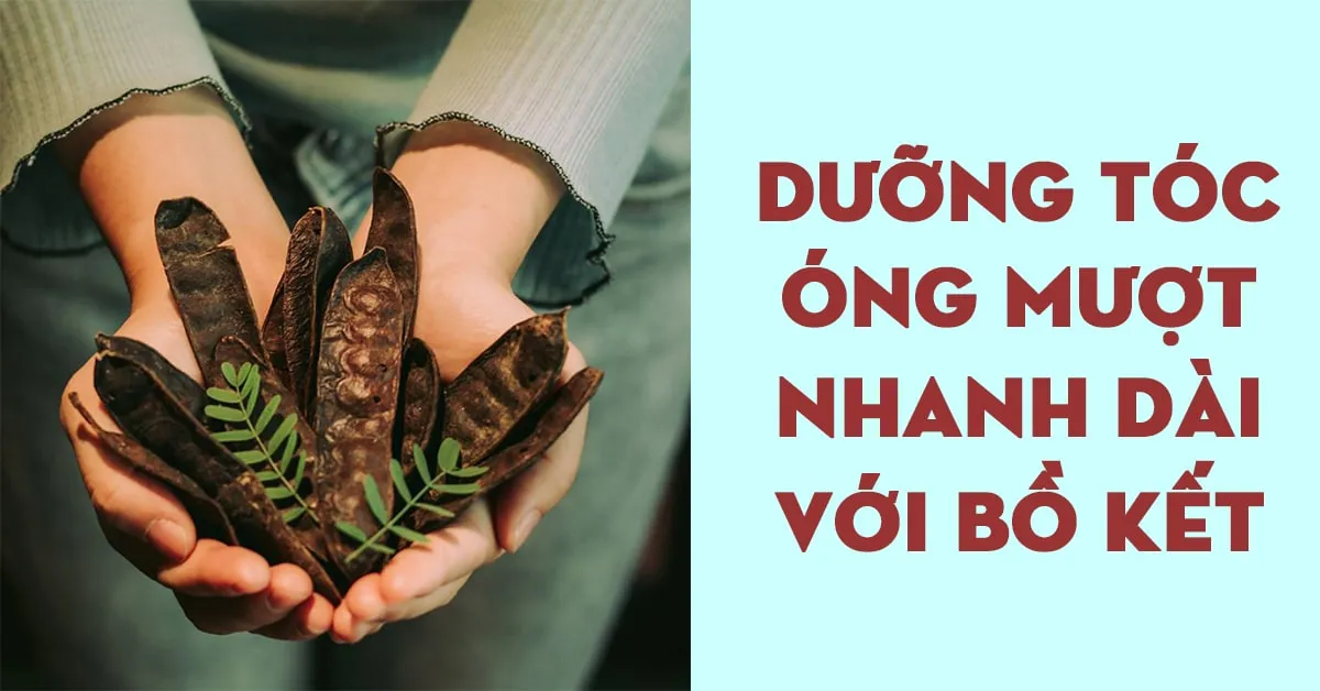 Cách gội đầu bằng bồ kết giúp tóc dày mượt, đen bóng, nhanh dài