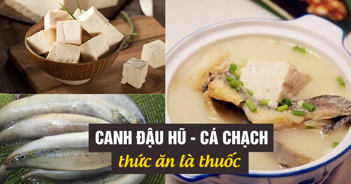 Canh đậu hũ non - cá chạch tốt cho người ung thư gan, liệt dương, ra nhiều mồ hôi…