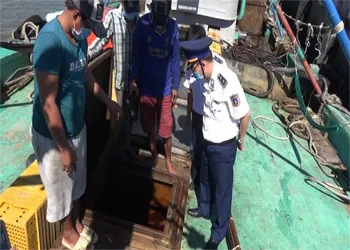 Tạm giữ hơn 50.000 lít dầu DO không rõ nguồn gốc