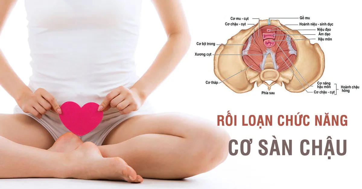 Rối loạn chức năng cơ sàn chậu tuổi mãn kinh và cách cải thiện