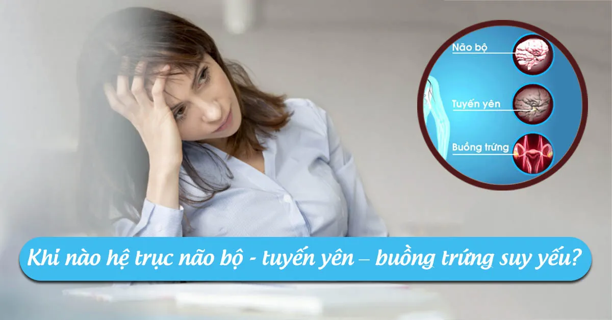 Vai trò của hệ trục não bộ - tuyến yên - buồng trứng, phụ nữ ai cũng nên biết