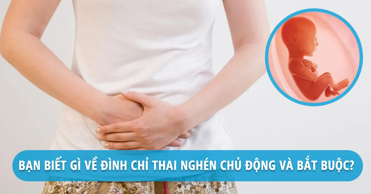 Bạn biết gì về đình chỉ thai chỉ định y khoa và đình chỉ thai chủ động?