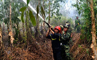 Sau 2 ngày đã khống chế đám cháy rừng tràm ở Hòn Đất, Kiên Giang