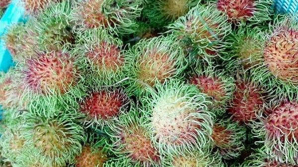 Giá cả thị trường hôm nay 19/5/2020: Chôm chôm thái giá 45,000 đồng/kg