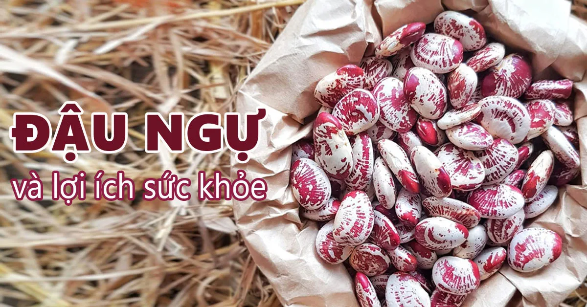 Đừng bỏ lỡ 11 tác dụng của đậu ngự đối với sức khỏe