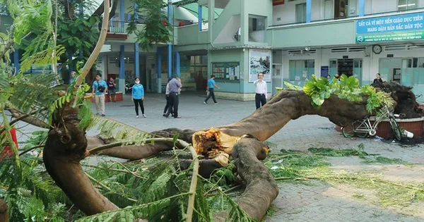 Sở Giáo dục và Đào tạo TPHCM yêu cầu tăng cường công tác an toàn trường học