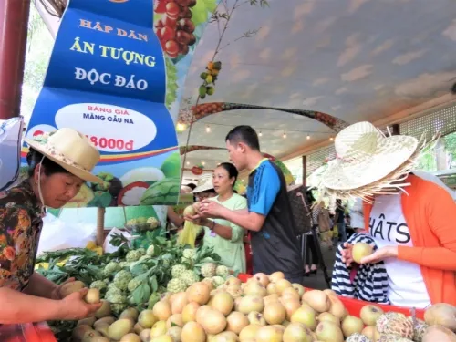 Ngày 30/5, Suối Tiên khai mạc Mùa hội Trái cây thanh bình năm 2020