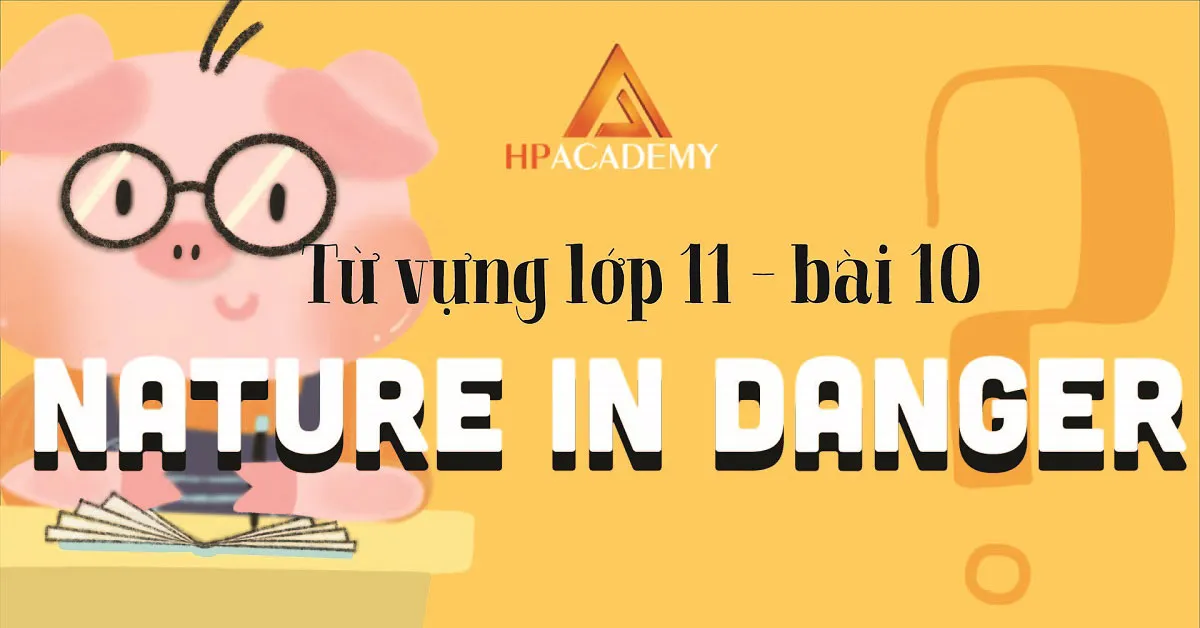 Tìm hiểu nghĩa và cách phát âm 24 từ vựng tiếng anh lớp 11 unit 9