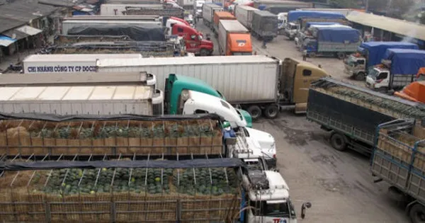 Chính sách nổi bật có hiệu lực từ tháng 6/2020