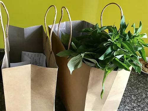 Một triệu lít nước ngọt cho chiến dịch tiêu dùng xanh lần thứ 11 năm 2020