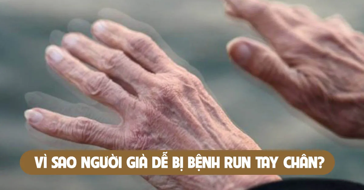 Nguyên nhân gây bệnh run tay chân ở người già 