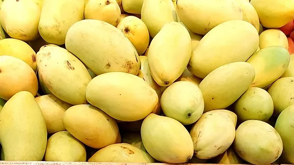 Giá cả thị trường hôm nay 6/6/2020: Xoài cát Hòa Lộc 60 ngàn đồng một kg