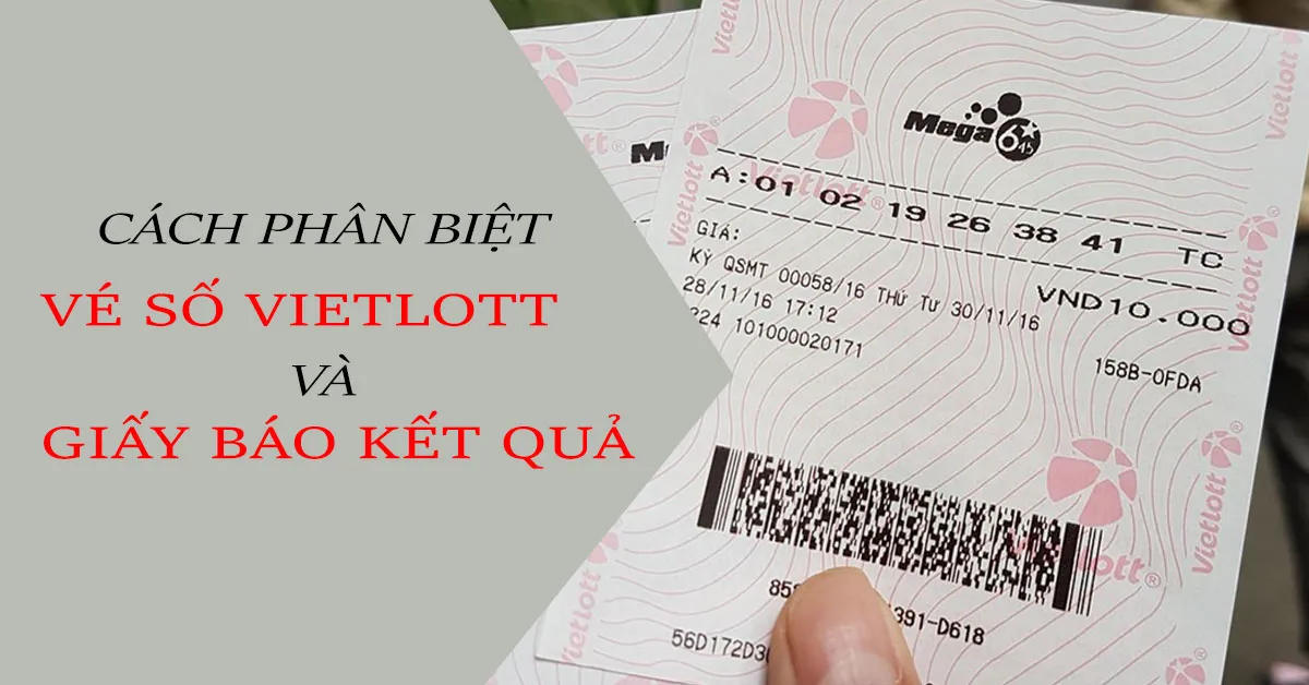 Cách phân biệt giấy báo kết quả và vé số Vietlott Mega 6/45