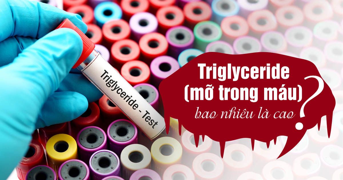 Chỉ số triglyceride là gì, làm sao để tránh triglyceride tăng cao?