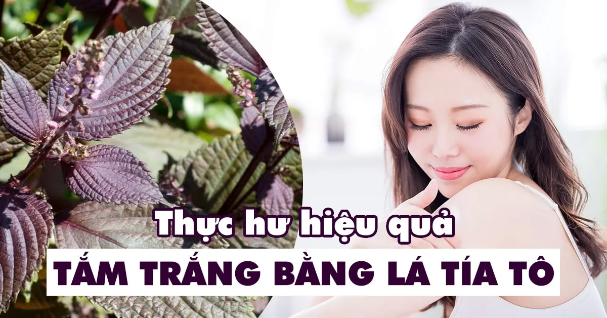 Tắm trắng bằng lá tía tô có tác dụng ‘thần kì’ như lời đồn?