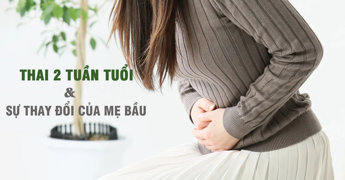 Thai nhi 2 tuần tuổi: 6 dấu hiệu mang thai mẹ có thể nhận biết