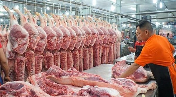 Giá heo hơi hôm nay 14/6/2020: Tiếp tục giảm sau khi nhập lô heo sống đầu tiên