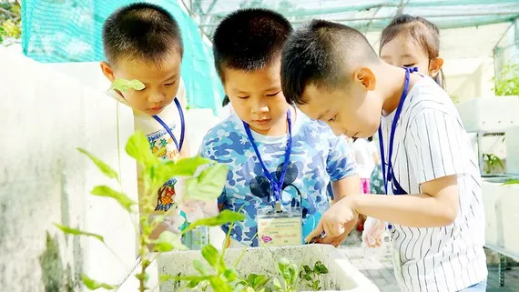 TPHCM tổ chức hoạt đồng Hè 2020 với chủ đề “Hè vui, khỏe, bổ ích, an toàn”