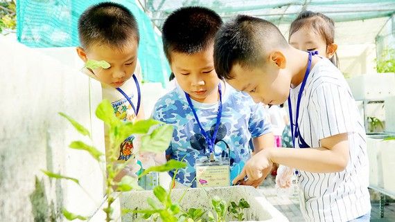 TPHCM tổ chức hoạt đồng Hè 2020 với chủ đề “Hè vui, khỏe, bổ ích, an toàn”