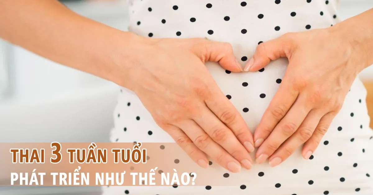 Thai nhi 3 tuần tuổi: Quá trình phát triển của bé, điều cần lưu ý của mẹ