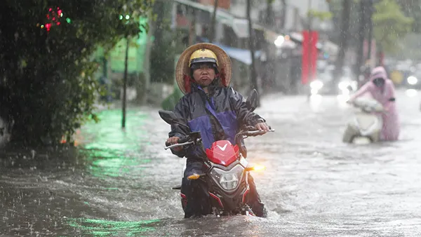 TPHCM mưa lớn gây ngập, cây đổ, ùn tắc giao thông