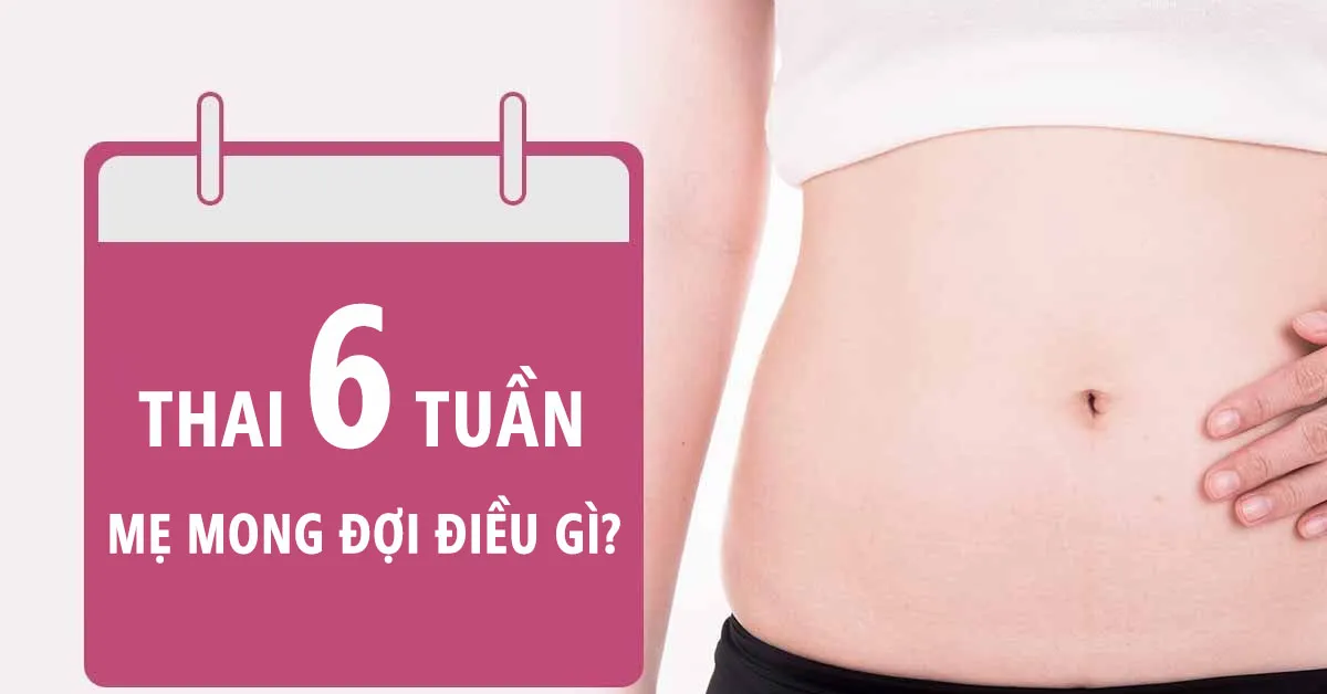 Thai nhi 6 tuần tuổi: Những thay đổi trong quá trình phát triển của bé yêu