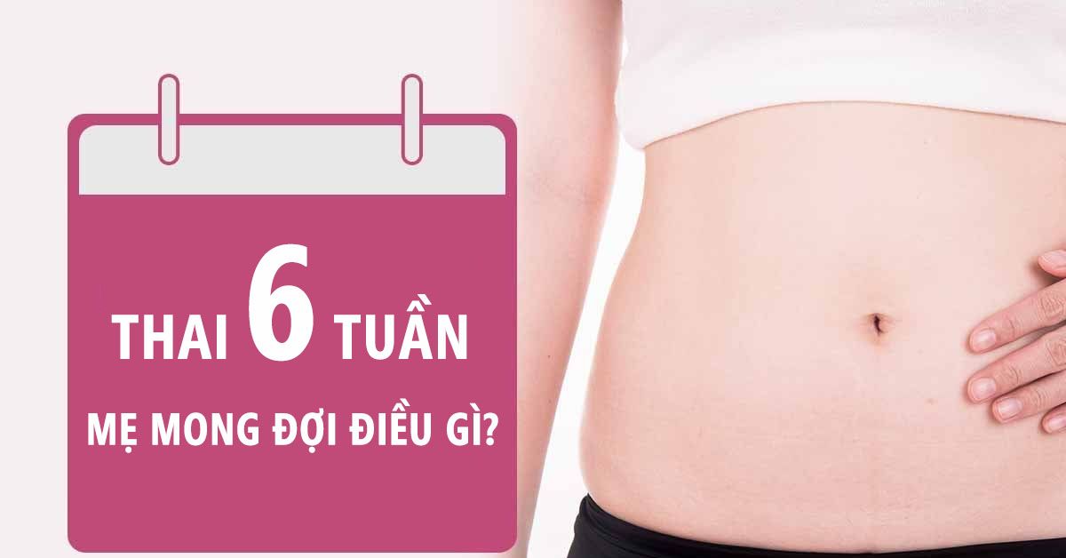 Thai nhi 6 tuần tuổi: Những thay đổi trong quá trình phát triển của bé yêu