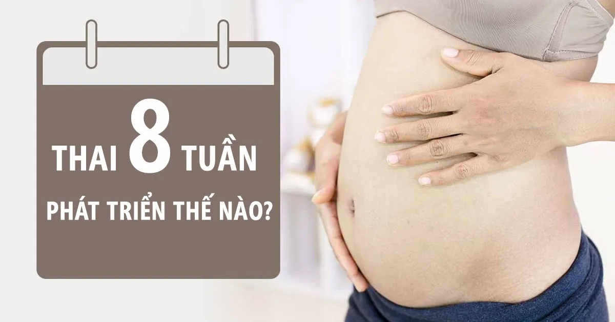 Thai nhi 8 tuần tuổi: Chiếc đuôi biến mất, các bộ phận hình thành gần như đầy đủ