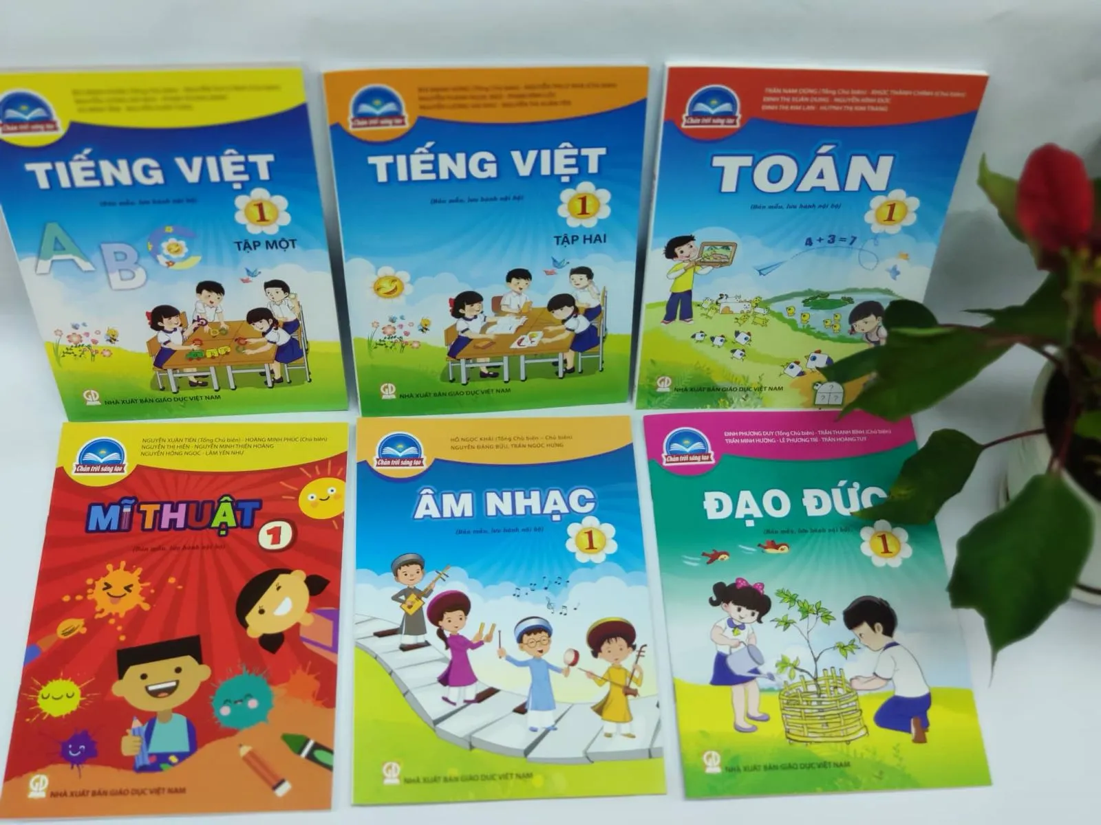 Kết quả chọn sách giáo khoa lớp 1 năm học 2020-2021 tại TPHCM: 80% chọn bộ sách Chân trời sáng tạo