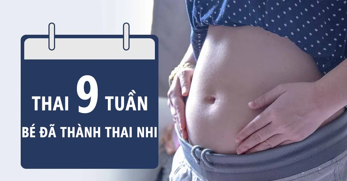 Thai nhi tuần thứ 9: Sự phát triển của bé có gì đặc biệt?