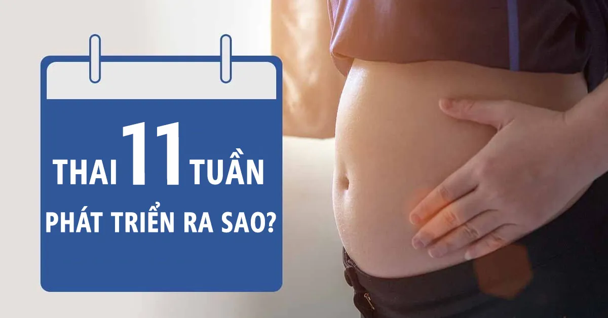 Thai nhi 11 tuần: Bé đang học nuốt và tập phản xạ