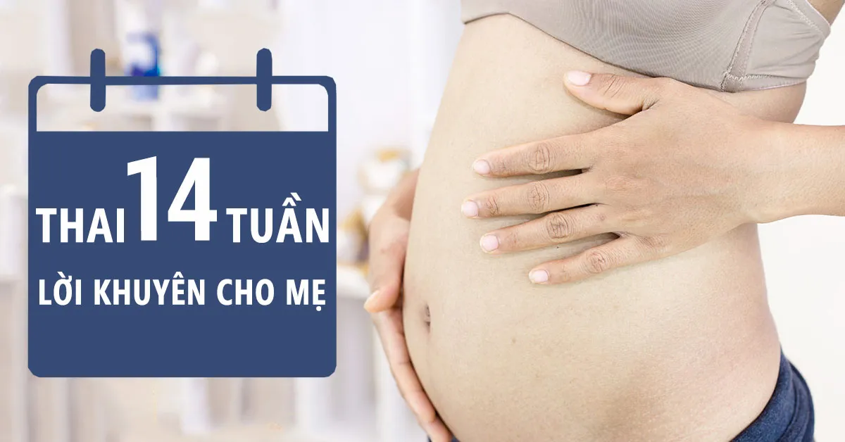 Thai nhi 14 tuần tuổi: Bộ phận sinh dục bé phát triển nhanh, mẹ tạm biệt ốm nghén