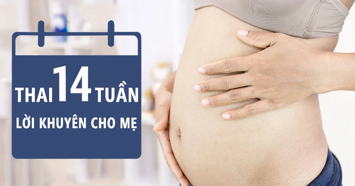 Thai nhi 14 tuần tuổi: Bộ phận sinh dục bé phát triển nhanh, mẹ &#039;tạm biệt&#039; ốm nghén