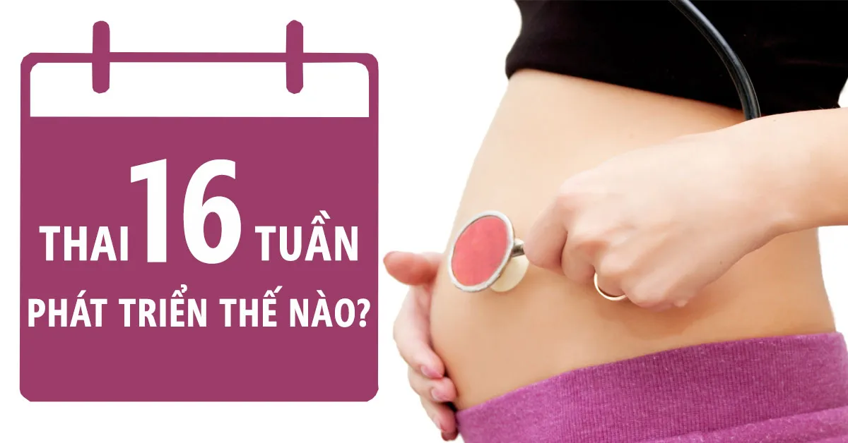 Thai nhi 16 tuần tuổi: Mẹ đã có thể cảm nhận được cú đạp của con