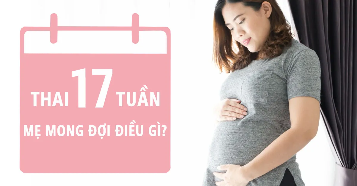 Thai nhi 17 tuần tuổi: Bé phát triển thế nào, mẹ thay đổi ra sao?