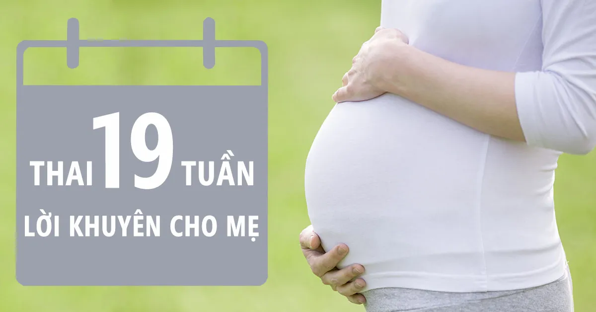 Thai nhi 19 tuần tuổi: Sự phát triển của bé và những thay đổi của mẹ