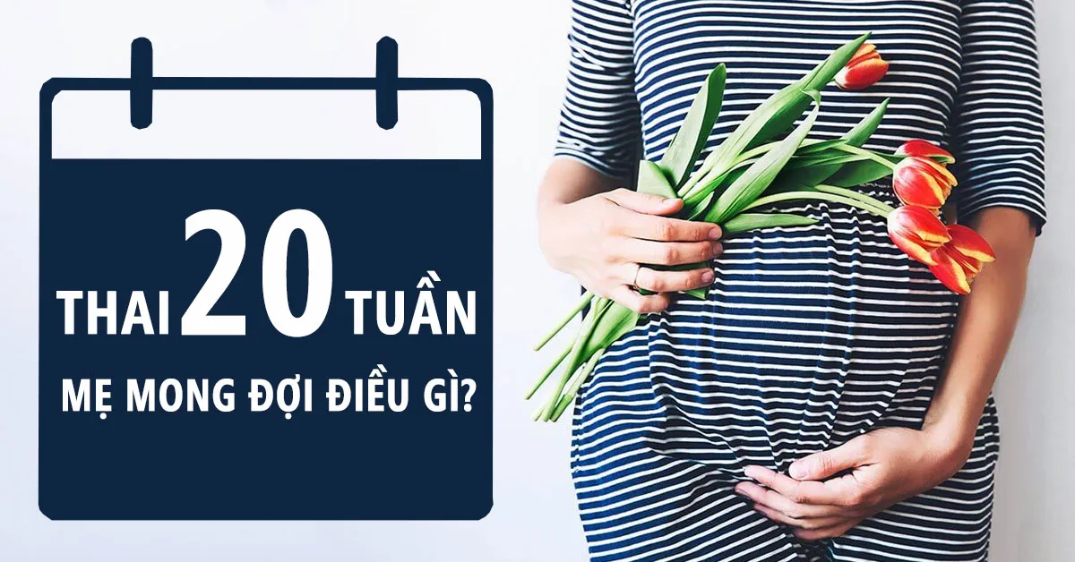 Thai nhi 20 tuần tuổi: Não bộ tăng trưởng nhanh về kích thước lẫn khối lượng