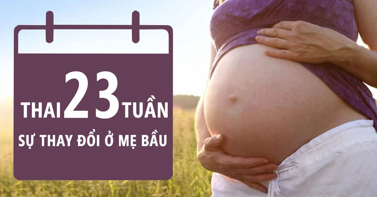 Thai nhi 23 tuần tuổi: Những ‘cú đạp’ của con đã bắt đầu có lực